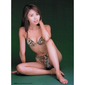 vintage sexy Japanese woman idol gravure bikini tiger stripe photo mag page art